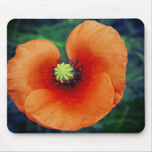 Wild Poppy Macro Photography Mousepad Muismat