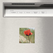 Wild Poppy Magnet Magneet (Insitu (Vaatwasser))