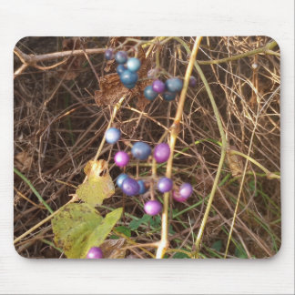 Wild Porcelain Berry Vine In Nature Mouse Pad Muismat