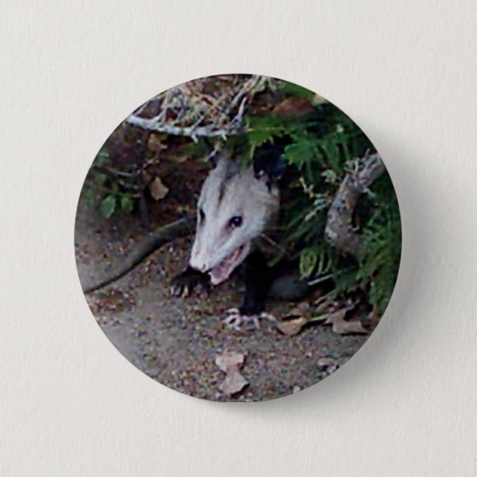 Wild Possum Ronde Button 5,7 Cm (Voorkant)