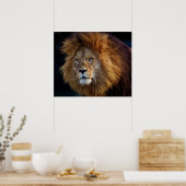 Wild Predator Lion met Mane Poster (Keuken)