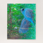 Wild Quail Legpuzzel (Verticaal)