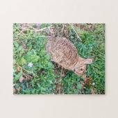 Wild Rabbit Puzzle  (Horizontal)