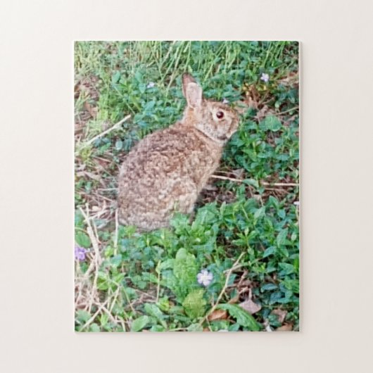Wild Rabbit Puzzle  (Vertical)