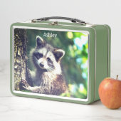 Wild Raccoon op het Oerwoud (In situ)