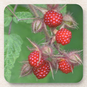 Wild Raspberry Onderzetter