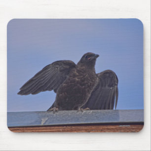 Wild Raven en Roof Wildlife Foto Gift Muismat