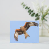 Wild Red Kites Briefkaart (Staand voorkant)