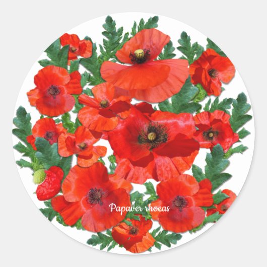 Wild Red Poppies Ronde Sticker (Voorkant)