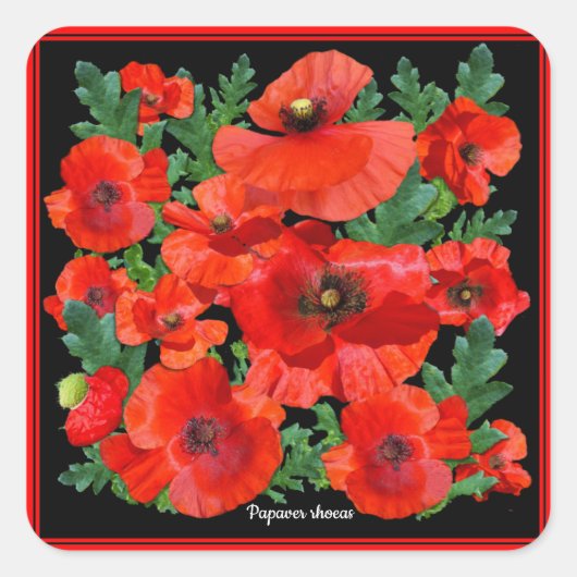 Wild Red Poppies Vierkante Sticker (Voorkant)