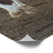 Wild Ride - Reno Rodeo 2010 Poster (Hoek)