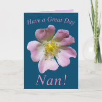 Wild Roos Flower Birthday Kaart voor Nan