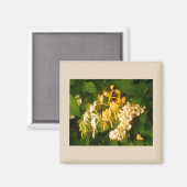 Wild Roos Honeysuckle Refkoelkast Magnet Magneet (Voorkant / Achterkant)