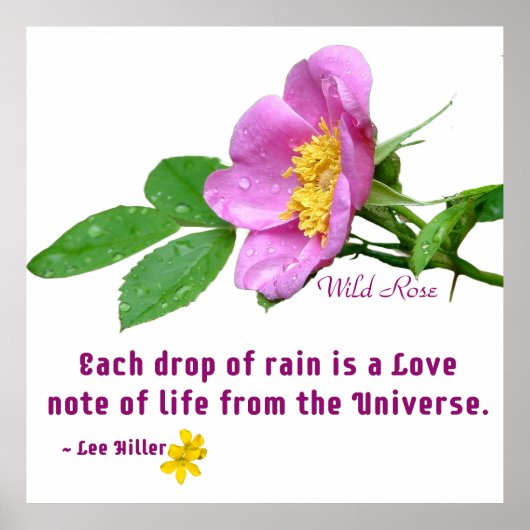 Wild Roos Wildflower Rain Quote Poster (Voorkant)