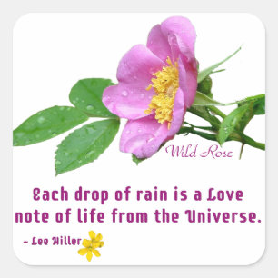 Wild Roos Wildflower Rain Quote Vierkante Sticker