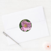 Wild Rose stickers (Envelop)