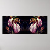 Wild Roze Dame Slipper Orchidee Pair Spiegel Poster (Voorkant)