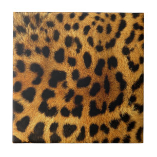 wild Safari animal cheetah girly leopard print Tegeltje