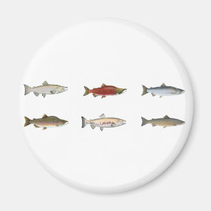 Wild Salmon Magneet