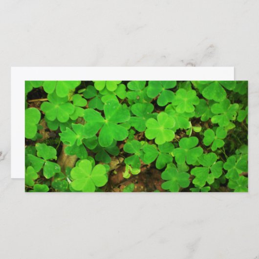 Wild Shamrocks (Voorkant / Achterkant)