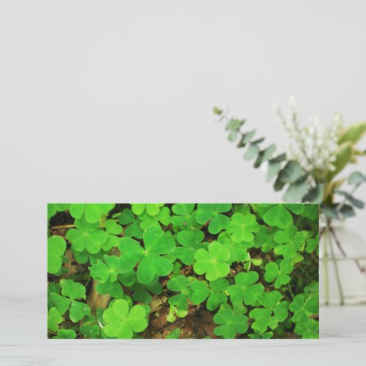 Wild Shamrocks (Staand voorkant)