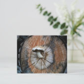 Wild Shiitake Mushroom op log Briefkaart (Staand voorkant)