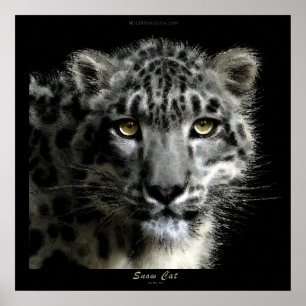 WILD SNEEUW LEOPARD Art Print