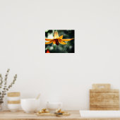 Wild Spotted Canadian Lily Flower Poster (Keuken)