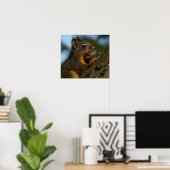 Wild Squirrel Foto Poster (Thuiskantoor)
