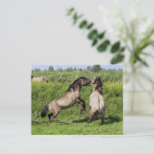wild stallion briefkaart (Staand voorkant)