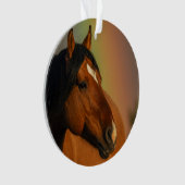 Wild Stallion, Golden Light and Rainbow (devant)