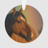 Wild Stallion, Golden Light and Rainbow (devant)