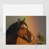 Wild Stallion, Golden Light and Rainbow Bedankkaart (Voorkant / Achterkant)