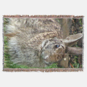 Wild Sweet Bunny Deken