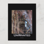 Wild Tabby Cat Demotivationeel Dier Briefkaart (Voorkant)