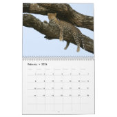 Wild Tanzania Calendar Kalender (Feb 2026)