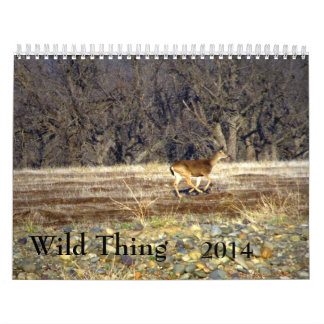 Wild Thing 2014 Kalender