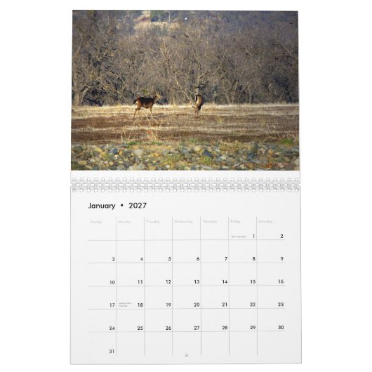 Wild Thing 2014 Kalender (Jan 2027)
