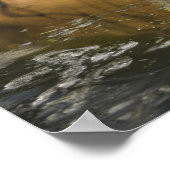 Wild Tiger Safari Jungle Artwork Photo Poster (Coin)