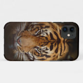 Wild Tiger Wildlife Fine Art coque iphone mobile (Dos (Horizontal))