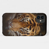 Wild Tiger Wildlife Fine Art coque iphone mobile (Dos (Horizontal))