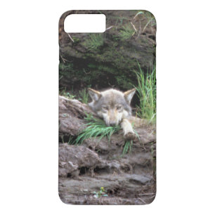 Wild Timber Wolf Cub in Den Haag iPhone 8 Plus / 7 Plus Hoesje