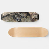 Wild Timber Wolf Twin Cubin in Den Haag Skateboard (Horizontaal)