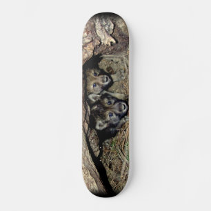 Wild Timber Wolf Twin Cubin in Den Haag Skateboard