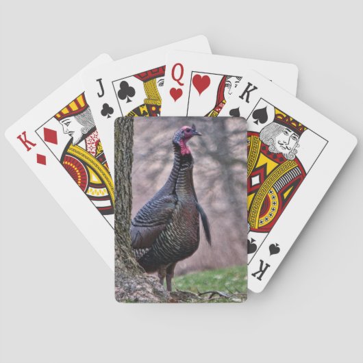 Wild Tom Turkey die kaarten speelt (Achterkant)