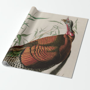 Wild Turkey Birds of America Audubon Print Cadeaupapier