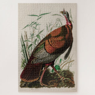 Wild Turkey Birds of America Audubon Print Legpuzzel