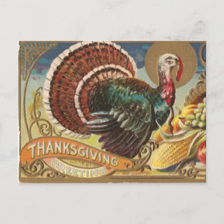 Wild Turkey Briefkaart