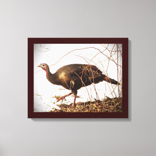 Wild Turkey Canvas Afdruk (Voorkant)