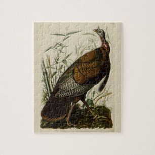 Wild Turkey door John Audubon Legpuzzel